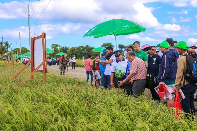 Zamboanga Peninsula hosts 6th National Rice Techno Forum | Official ...