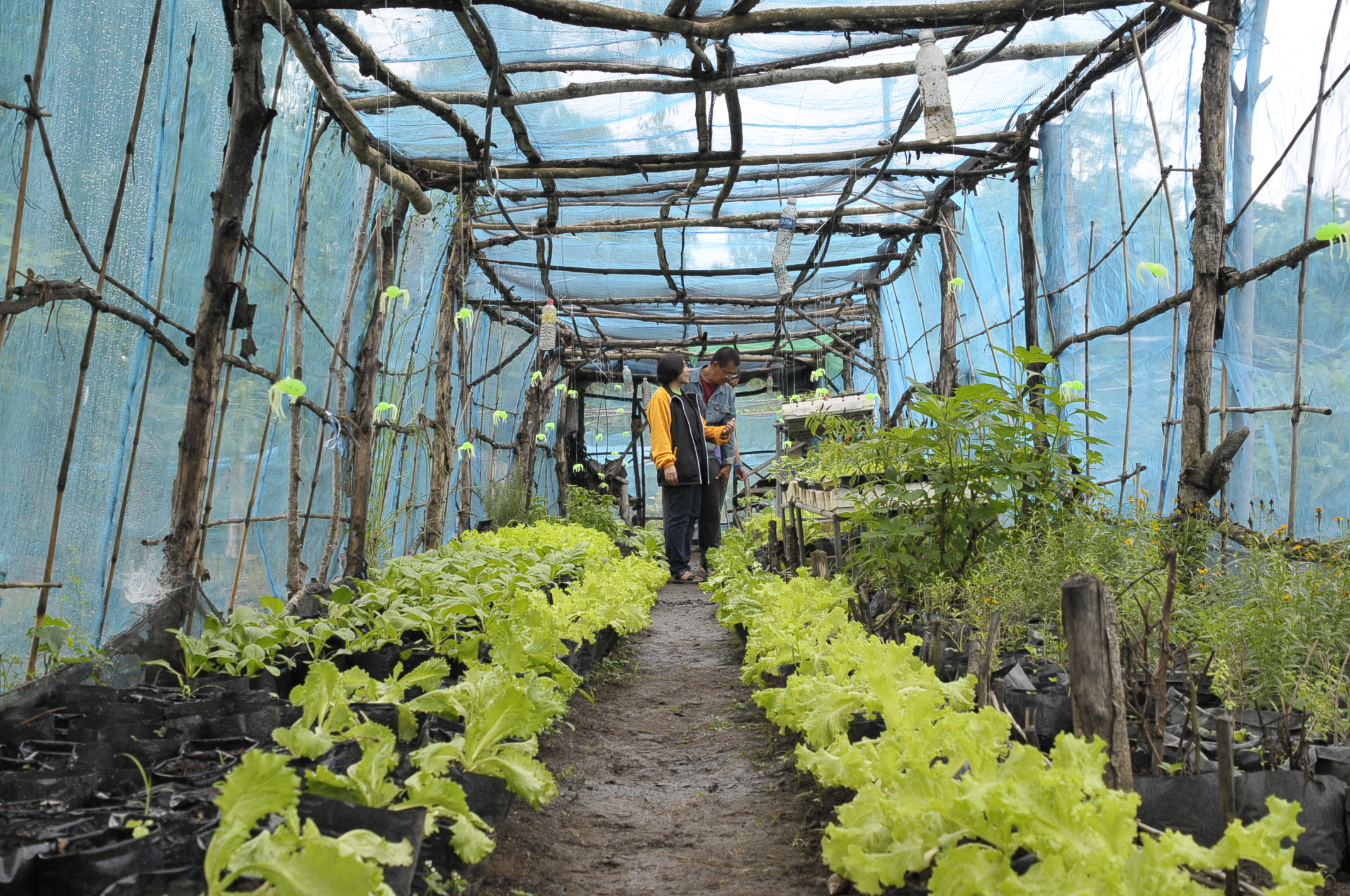 the future of farm tourism in the philippines