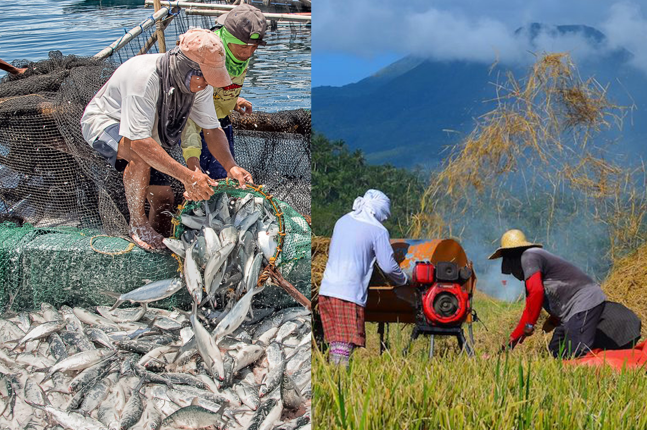 Farming, fishing and food value chain activities continue under