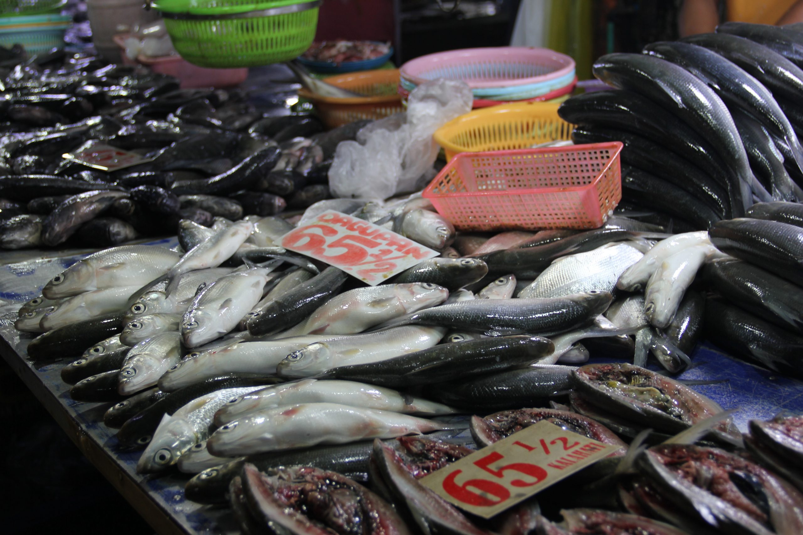 Fish supply, prices stable in “NCR plus”  Official Portal of the  Department of Agriculture